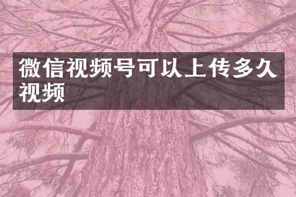 微信视频号可以上传多久视频