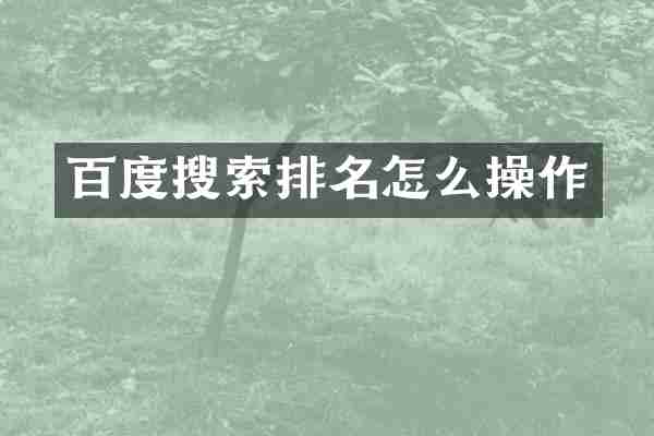 百度搜索排名怎么操作