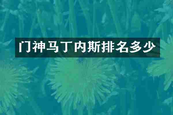 门神马丁内斯排名多少
