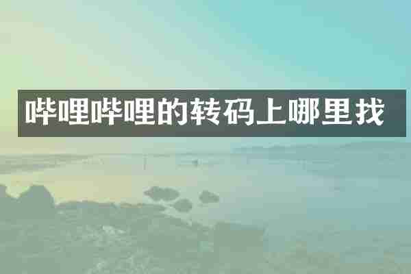 哔哩哔哩的转码上哪里找