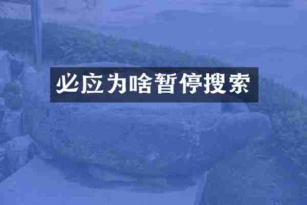 必应为啥暂停搜索