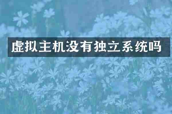 虚拟主机没有独立系统吗