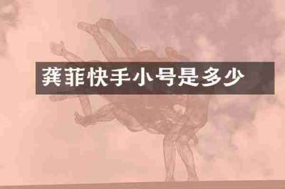 龚玥菲快手小号是多少