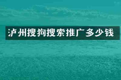 泸州搜狗搜索推广多少钱