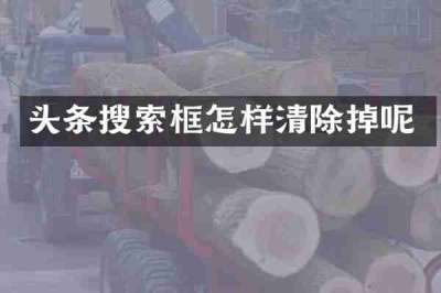 头条搜索框怎样清除掉呢