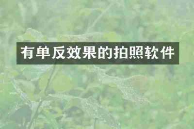 有单反效果的拍照软件