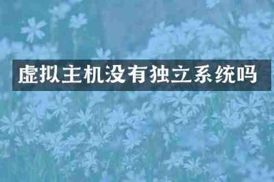 虚拟主机没有独立系统吗