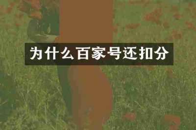 为什么百家号还扣分