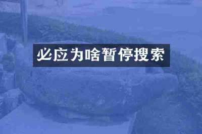 必应为啥暂停搜索