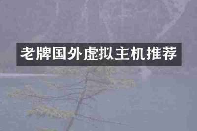 老牌国外虚拟主机推荐