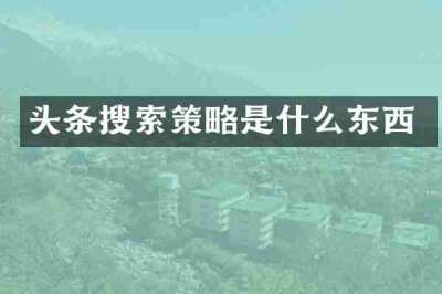头条搜索策略是什么东西