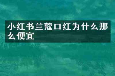 小红书兰蔻口红为什么那么便宜