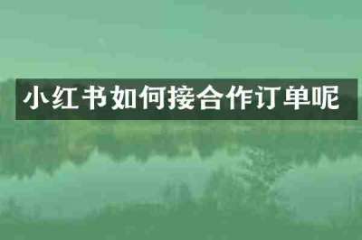 小红书如何接合作订单呢