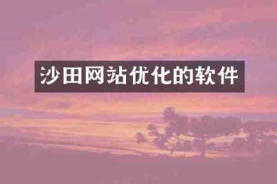 沙田网站优化的软件