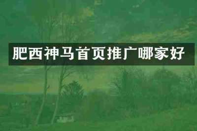 肥西神马首页推广哪家好