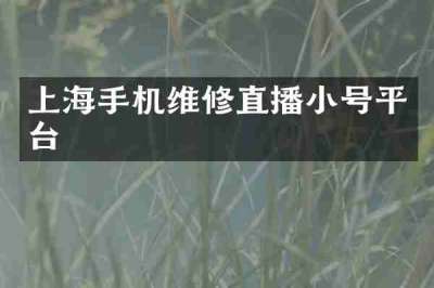 上海手机维修直播小号平台