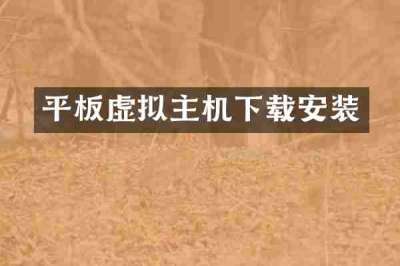 平板虚拟主机下载安装