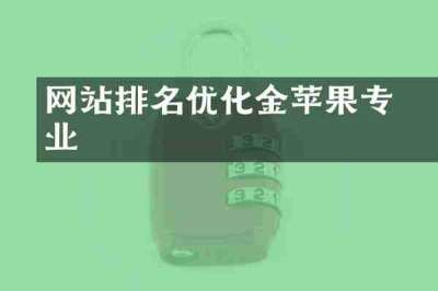 网站排名优化亇金苹果专业