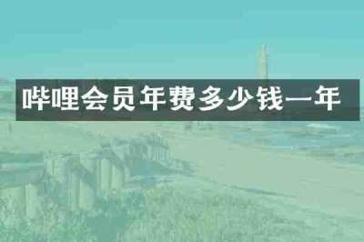 哔哩会员年费多少钱一年