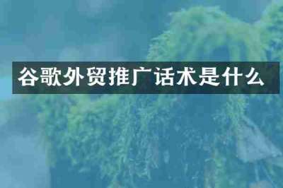 谷歌外贸推广话术是什么