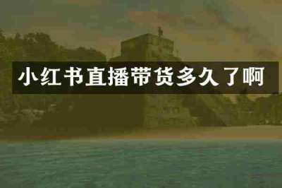 小红书直播带货多久了啊