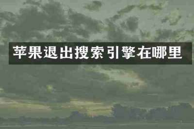 苹果退出搜索引擎在哪里