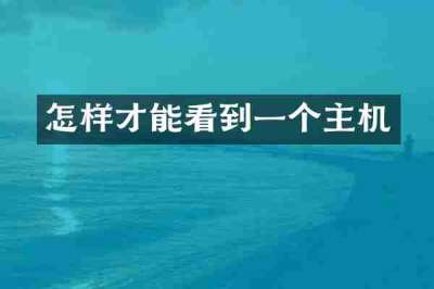 怎样才能看到一个主机