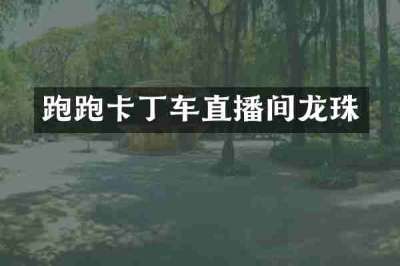 跑跑卡丁车直播间龙珠