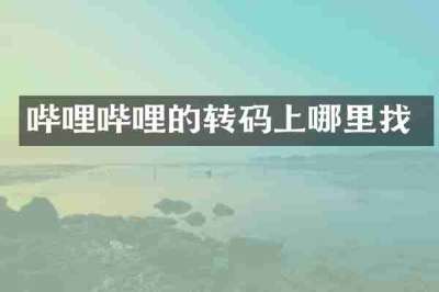 哔哩哔哩的转码上哪里找