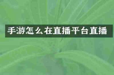 手游怎么在直播平台直播