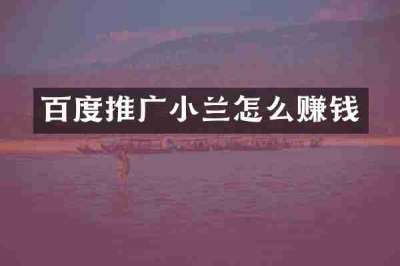 百度推广小兰怎么赚钱