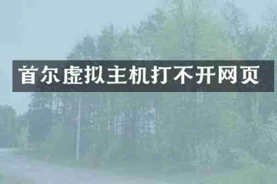 首尔虚拟主机打不开网页