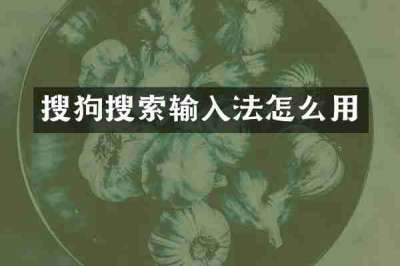 搜狗搜索输入法怎么用