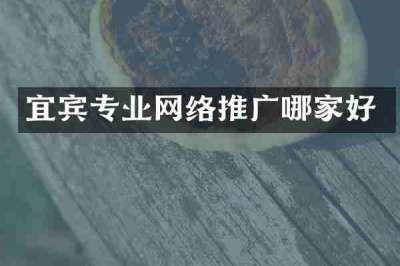 宜宾专业网络推广哪家好