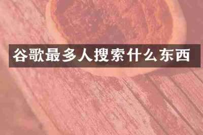 谷歌最多人搜索什么东西