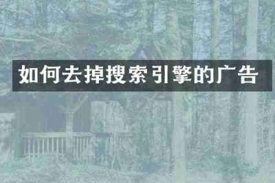 如何去掉搜索引擎的广告