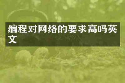 编程对网络的要求高吗英文