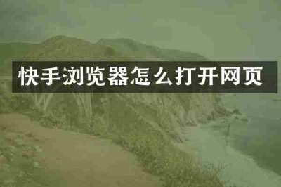 快手浏览器怎么打开网页