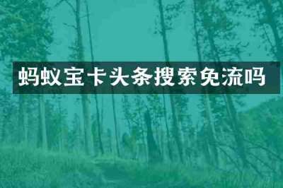 蚂蚁宝卡头条搜索免流吗