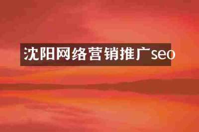 沈阳网络营销推广seo