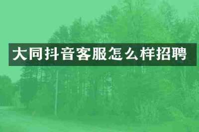 大同抖音客服怎么样招聘