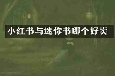 小红书与迷你书哪个好卖