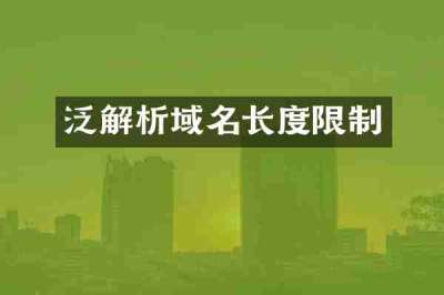 泛解析域名长度限制