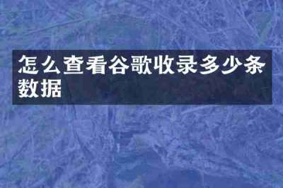怎么查看谷歌收录多少条数据