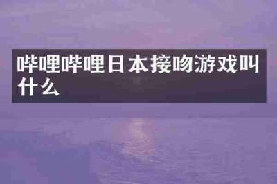 哔哩哔哩日本接吻游戏叫什么