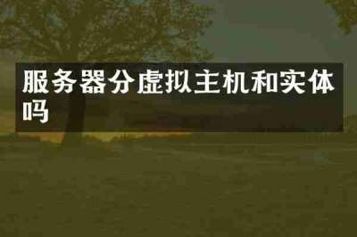 服务器分虚拟主机和实体吗
