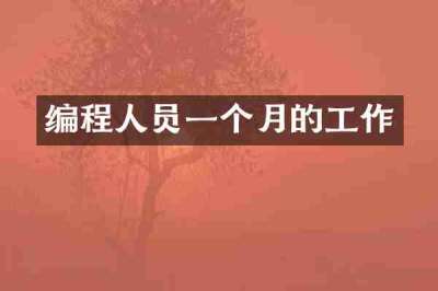 编程人员一个月的工作