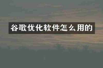 谷歌优化软件怎么用的