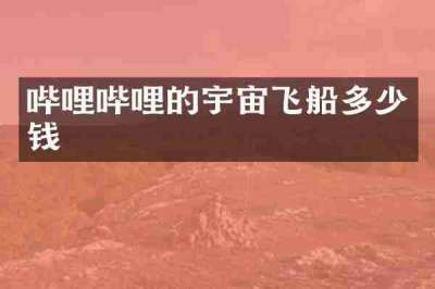 哔哩哔哩的宇宙飞船多少钱