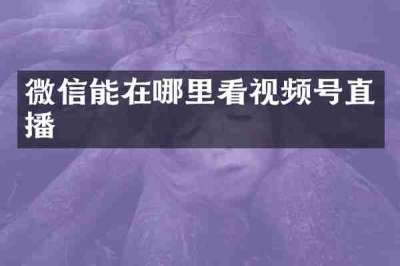 微信能在哪里看视频号直播